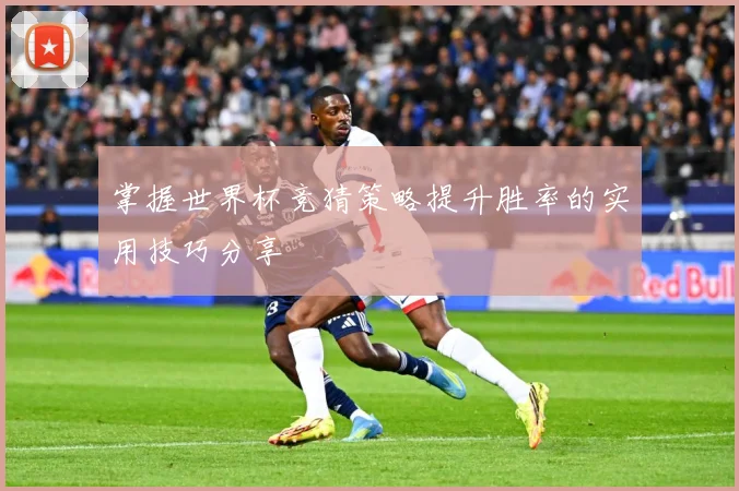 掌握世界杯竞猜策略提升胜率的实用技巧分享
