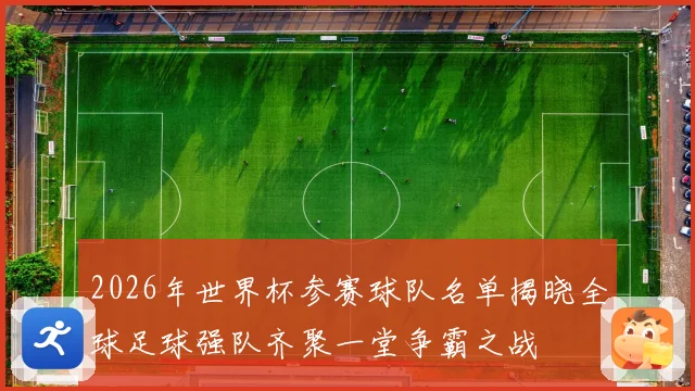 2026年世界杯参赛球队名单揭晓全球足球强队齐聚一堂争霸之战